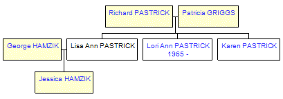 Mini tree diagram